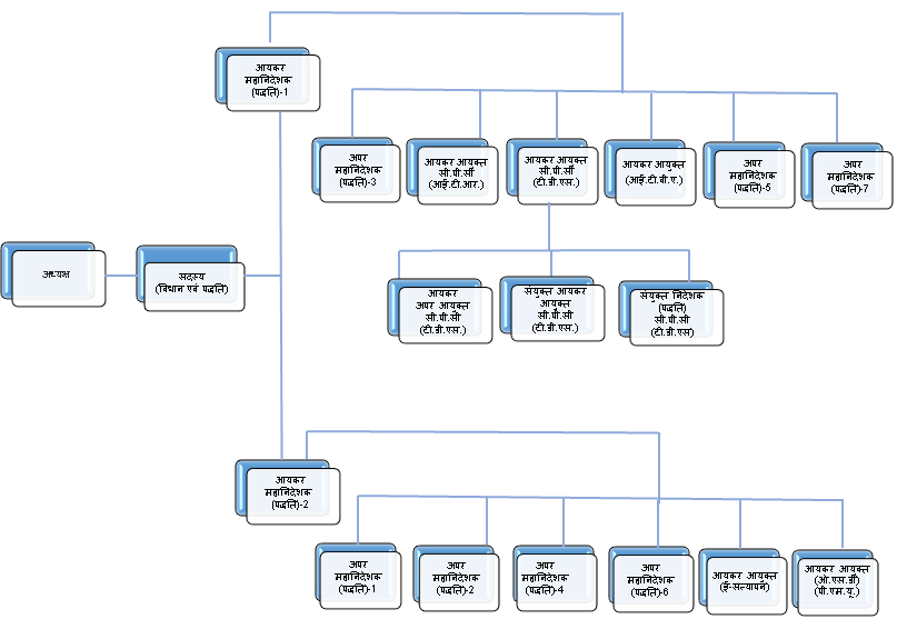 Organization Structure